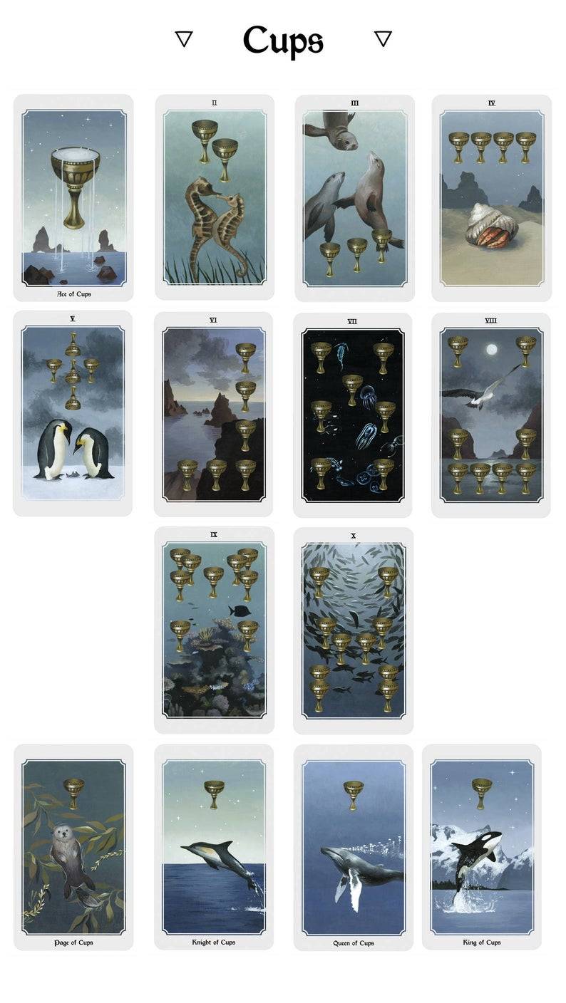 Anima Mundi Tarot Deck 78 pcs Set